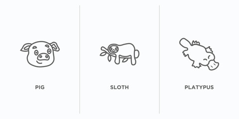 animals outline icons set. thin line icons such as pig, sloth, platypus vector. linear icon sheet can be used web and mobile © IconArt