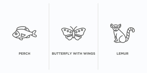 animals outline icons set. thin line icons such as perch, butterfly with wings, lemur vector. linear icon sheet can be used web and mobile © IconArt