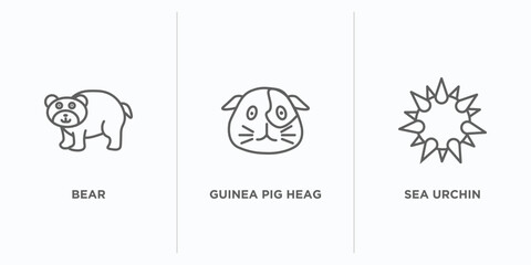 animals outline icons set. thin line icons such as bear, guinea pig heag, sea urchin vector. linear icon sheet can be used web and mobile