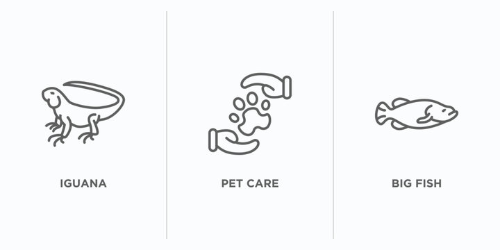 animals outline icons set. thin line icons such as iguana, pet care, big fish vector. linear icon sheet can be used web and mobile