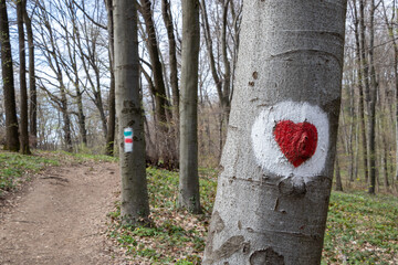 Hiking mark in the shape of a heart on a tree trunk
