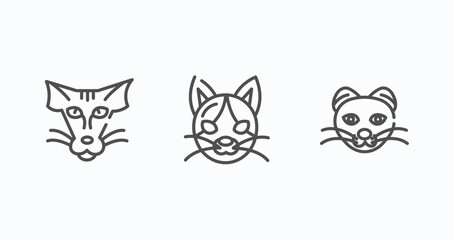 Fototapeta na wymiar set of 3 thin line icons in cat breed bodies concept. outline icons including peterbald cat thin line, japanese bobtail cat thin line, scottish fold vector. can be used web and mobile.
