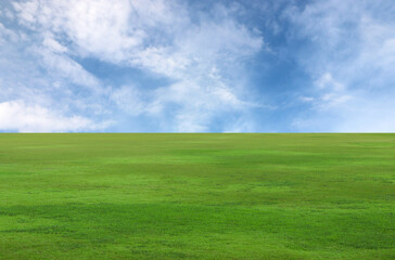 Fototapeta premium green grass and blue sky, Green field ,clouds background on the sunny day.