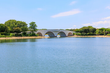 Fototapeta na wymiar 沖縄の南国イメージ「池と架け橋のある公園」