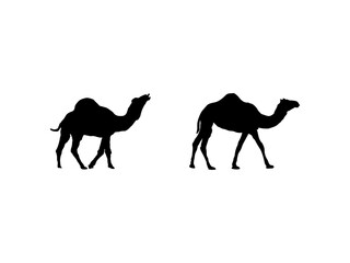 Camel icon silhouette vector illustration Pedigreed camels. Silhouettes of running camels on a white background.Camel icon graphic design vector illustration . Animal Logo Silhouette.
