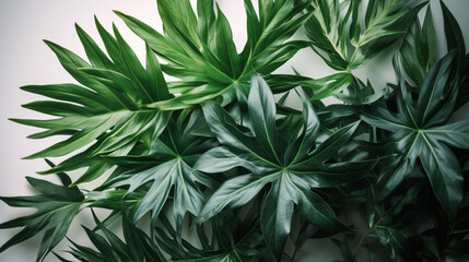 Tropical leaves foliage plants bush floral arrangement nature backdrop on white background Generated AI
