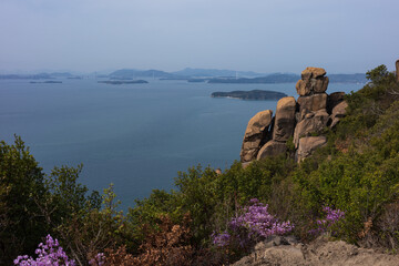 日本の岡山県倉敷市の王子が岳で見た奇岩