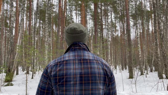 a guy in a plaid jacket and a warm hat is walking in the woods, view from the back.