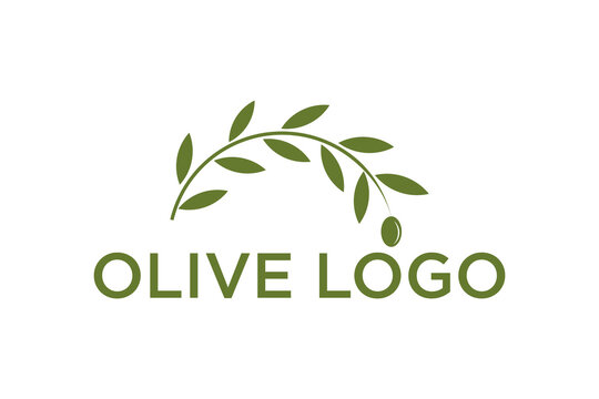 creative leaf and olive oil logo design icon