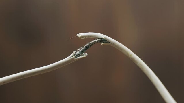 A man examines an electrical wire with damaged insulation. Close-up.