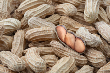 The background is full of peanut
