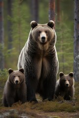 Obraz premium Female eurasian brown bear and her cubs in boreal forest. Generative AI