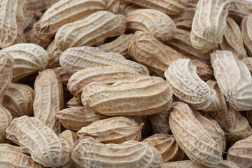 The background is full of peanut