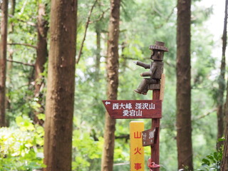 埼玉県日和田山トレッキング