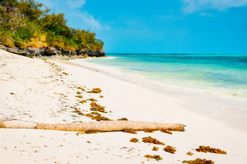 Set against a beautiful blue sky with fluffy clouds on a sunny summer day, Zanzibar Island's tropical beach is a sight to behold. The white sand, palm trees, and crystal-clear turquoise waters combine