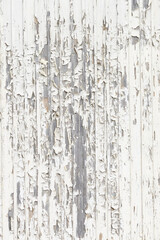 Obraz premium Cracked white paint on house wall exposing weathered boards