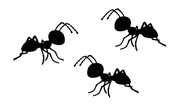 Black silhouette of ant colony. Template with funny ants. Template for children to cut out.