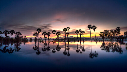 Beautiful landscape of nature with dramatic cloudscape, row of palm trees in silhouette reflect on the surface water of the river at sunrise