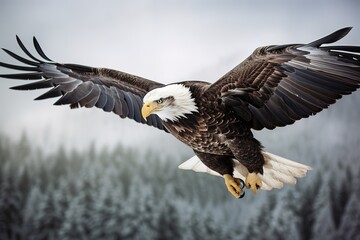 A majestic and powerful Bald Eagle soaring through the sky - This Bald Eagle is soaring through the sky, showing off its majestic and powerful nature. Generative AI