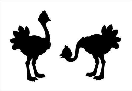 Black silhouette of funny ostrich. Vector template with funny birds. Colouring page for kids.
