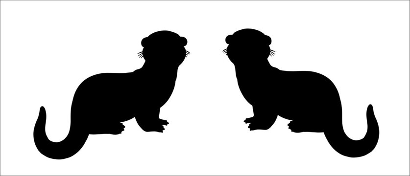 Black silhouette of funny otter. Vector template with funny birds. Colouring page for kids. 