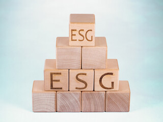 ESG symbols on wood blocks as a concept of company management principles
