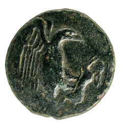 antike griechische Münze aus Agrigent: fliegender Adler mit Hase als Beute in den Fängen