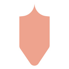 sword and shield icon