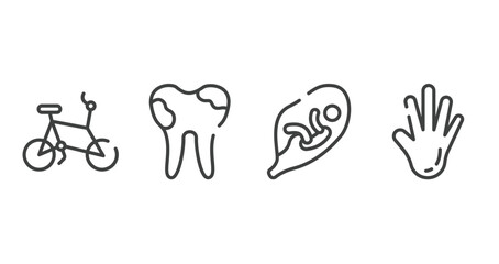 body parts outline icons set. thin line icons sheet included bicycle healthy transport, dental caries, fetus in an uterus, hand showing palm vector.