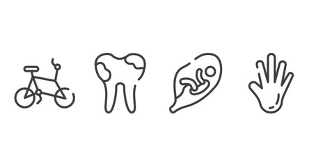body parts outline icons set. thin line icons sheet included bicycle healthy transport, dental caries, fetus in an uterus, hand showing palm vector.