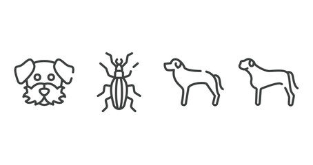 dog breeds fullbody outline icons set. thin line icons sheet included dog moustache, null, rottweiler, bullmastiff vector.