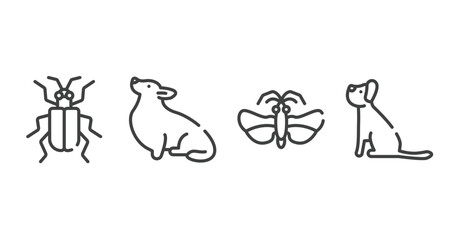 dog breeds fullbody outline icons set. thin line icons sheet included asparagus beetle, corgi, null, yorkshire terrier vector.