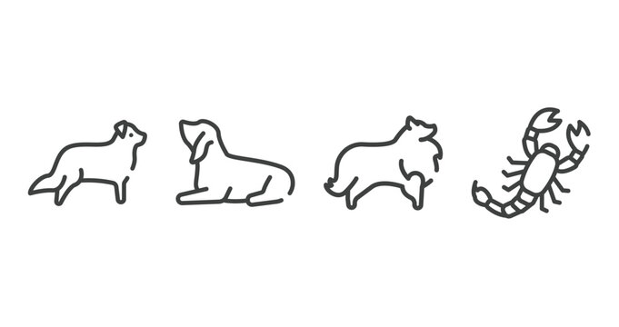 insects outline icons set. thin line icons sheet included bernese mountain, null, sheltie, scorpio vector.