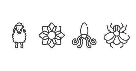 free animals outline icons set. thin line icons sheet included sheep front view, angular flower, giant squid, big fly vector.