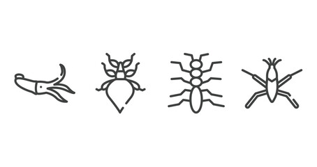 insects outline icons set. thin line icons sheet included squid, leaf insect, tree lobster, pond skater vector.