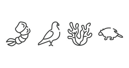 animals outline icons set. thin line icons sheet included shrimp, pigeon, seaweed, porcupine vector.