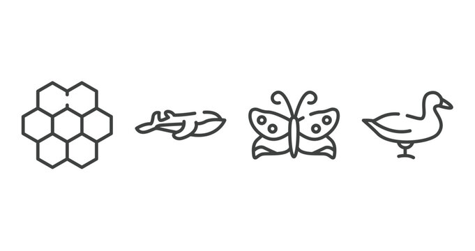 birds outline icons set. thin line icons sheet included moss, blue whale, butterflies, duck vector.