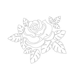 Beautiful flowers roses. Vector rose Artline. Continuous line drawing. Vector illustration.