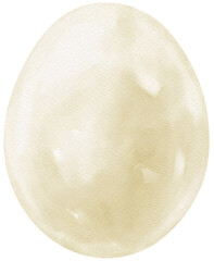 Boiled egg watercolor illustration