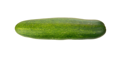 Cucumber isolated for fresh food element