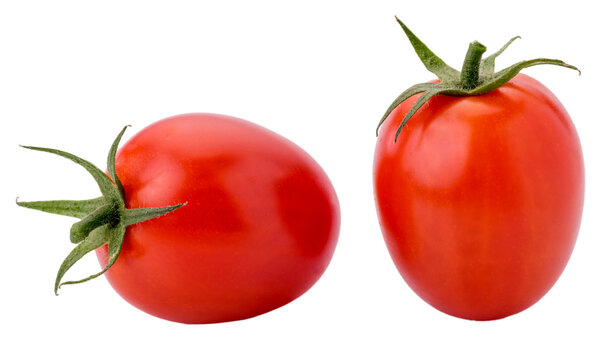 Two Principe Borghese red cherry tomato, datterino type isolated