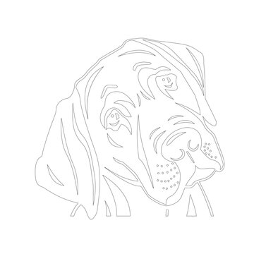 Line art vector of smart dog. Vector dog.