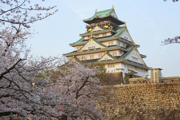 満開の桜　大阪城天守閣