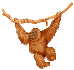 Orangutan cartoon illustration © b.illustrations