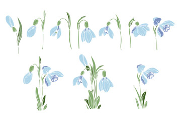 Fototapeta na wymiar First spring flowers. Set Snowdrops vector silhouette illustration