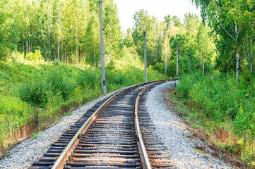 Obraz premium Railway in the Green Summer Forest