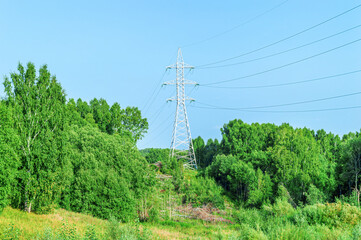 Power Line Tower in the middle of the Summer Forest