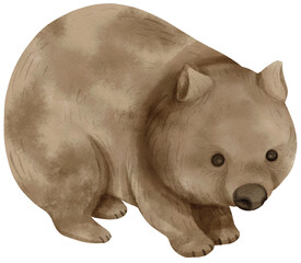 Watercolor Wombat illustration