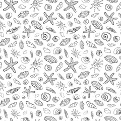 Sea shells on white background