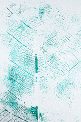Turquoise paint leaf shaped stamp imprint on white background